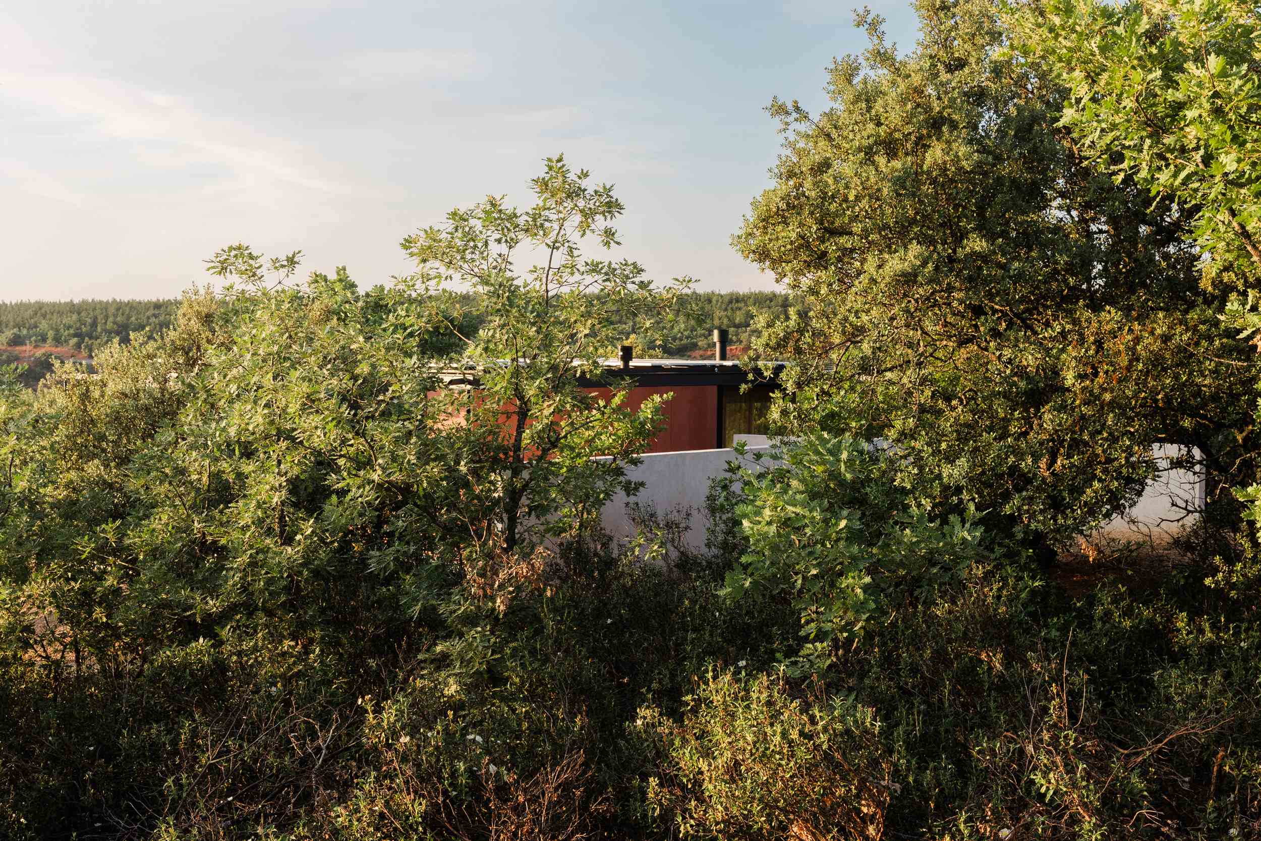 La vivienda mimetizada entre la vegetación